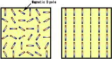 Figure (a) Ordinary Material(Left), Figure (b) Ferromagnetic Body(Right)